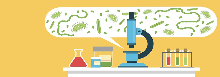 Qu’est-ce que le microbiote ? Qu’est-ce que le microbiote ?